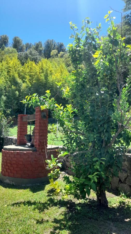 Apart Dany Villa Los Molinos Exteriér fotografie